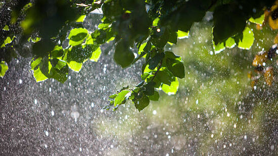 . ఆదివారం నుంచి బుధవారం వరకు బలమైన, స్థిరమైన ఉపరితల గాలులు వీచే అవకాశం ఉందని హైదరాబాద్ వాతావరణ కేంద్రం తెలిపింది. . ఆదివారం నుంచి బుధవారం వరకు బలమైన, స్థిరమైన ఉపరితల గాలులు వీచే అవకాశం ఉందని హైదరాబాద్ వాతావరణ కేంద్రం తెలిపింది.