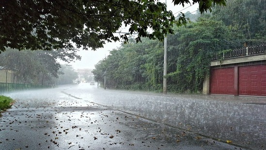 రాయలసీమ జిల్లాలోనూ మూడు నాలుగు రోజులపాటు వానలు పడుతాయని ఐఎండీ పేర్కొంది. బలమైన గాలుల వీచే ఛాన్స్ ఉందని అంచనా వేసింది. పలుచోట్ల ఉరుములు, మెరుపులతో కూడిన వర్షాలు పడుతాయని పేర్కొంది.&nbsp;