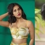 ప్రియదర్శి నా కెమిస్ట్రీని చాలా ఇష్ట పడుతున్నారు.. హీరోయిన్ నభా నటేష్ కామెంట్స్
