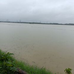 <p>అల్లూరి సీతారామ రాజు జిల్లాలోని రాజ‌వొమ్మంగి, జీకే వీధి, ఎట‌పాక‌, మారేడుమిల్లు మండ‌లాల్లో వాగులు ఉద్ధృతంగా ప్రవ‌హిస్తున్నాయి. దీంతో చాలా గ్రామాల‌కు రాక‌పోక‌లు నిలిచిపోయాయి. వీఆర్ పురం మండ‌లంలో గోదావ‌రి న‌దీ ప‌రివాహ‌క ప్రాంతాలైన తుమ్మలేరు పంచాయ‌తీ, శ్రీ‌రామ‌గిరి పంచాయ‌తీల్లో నాలుగు గ్రామాల చొప్పున ముంపులో ఉన్నాయి. వీరంత కొండ‌లు, గుట్టల‌పైకి ప‌రుగులుతీశారు. వీరి క‌నీసం అవ‌స‌రాలు తీర్చే నాధుడు కూడా లేడు.</p>