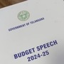 తెలంగాణ బడ్జెట్ - కేటాయింపులు