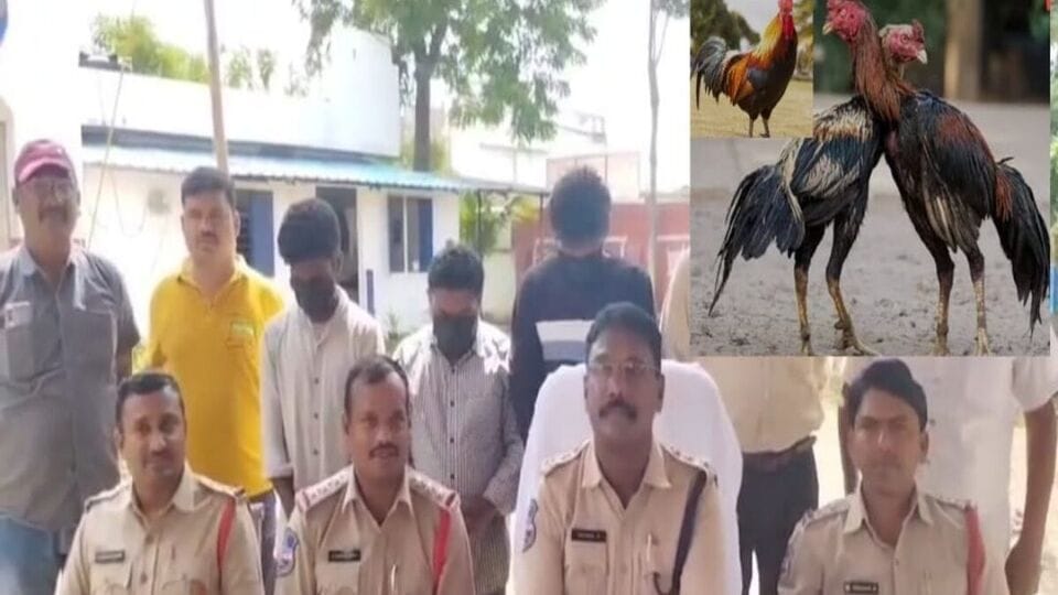 TG Roosters Stolen : అంతర్రాష్ట్ర పందెం కోళ్ల దొంగలు- పగలు కారులో వచ్చి రెక్కీ రాత్రికి చోరీ