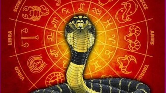 కాల సర్పదోషం ఉంటే నాగ పంచమి రోజున ఒక జత వెండి పాములను తయారు చేసి పూజించండి. పచ్చి పాలు, గాలి, పువ్వులు సమర్పించండి. ఫలితంగా కాల సర్పదోష ప్రభావం తగ్గుతుంది. నాగ పంచమి రోజున ఎనిమిది పాములను పూజించే సంప్రదాయం ఉంది. కానీ మీరు పామును పూజించే ముందు శివుడిని పూజించాలని గుర్తుంచుకోండి. శివుని మెడలో పరమశివునికి అత్యంత ప్రీతిపాత్రుడైన సర్పదేవుడు కొలువై ఉంటాడు.