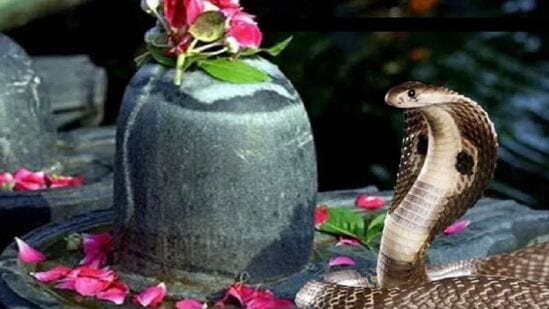 ఈసారి నాగపంచమి నాడు చాలా ఆశ్చర్యకరమైన గ్రహాల కలయిక జరుగుతోంది. శివుని నుదుటిని అలంకరించే చంద్రుడు ఈ రోజు కన్యారాశిలో ఉండి రాహువుతో సమాసప్తక యోగం ఏర్పడి గ్రహణ యోగం, నాగదోషం తొలగిపోవడానికి అందమైన కలయిక ఏర్పడుతుంది. నాగ పంచమి శుక్రవారం శుభప్రదమైన ముగింపు. ఈ రోజున సిద్ధి యోగం కూడా ఏర్పడుతుంది. అలాగే ఈ రోజున శుక్ర, బుధ గ్రహాల కలయిక వల్ల లక్ష్మీనారాయణ రాజయోగం కూడా ఉంటుంది. గ్రహాల పవిత్ర స్థానం మధ్య, ఈ నాగ పంచమి పండుగ వృషభం, తుల రాశి వారి జీవితాలలో గొప్ప మార్పులను తెస్తుంది. వారికి ప్రయోజనాలు, శ్రేయస్సును కూడా తెస్తుంది.