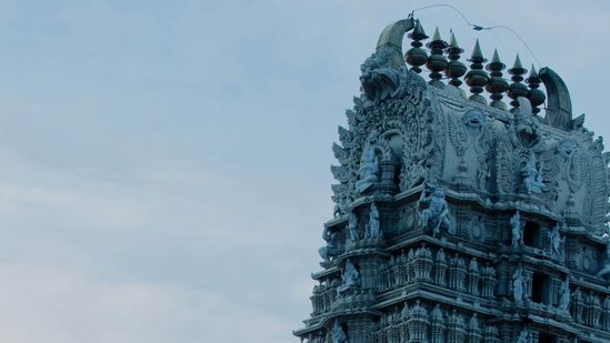 నాగ పంచమి పండుగను శ్రావణ మాసంలోని శుక్లపక్షంలో ఐదవ రోజున జరుపుకుంటారు. ఈ సంవత్సరం నాగపంచమి శుక్రవారం, ఆగస్టు 9, 2024. ఈ పండుగ సాధారణంగా హరియాలి తీజ్ తరువాత రెండు రోజులు వస్తుంది. ఈ పండుగ సమయంలో శివుడు, పార్వతి మరియు నాగదేవతను పూజిస్తారు. ఈ సంవత్సరం, నాగ పంచమి రోజున సిద్ధ మరియు సత్య యోగం ఏర్పడుతున్నందున ఈ రోజు యొక్క ప్రాముఖ్యత పెరుగుతోంది.