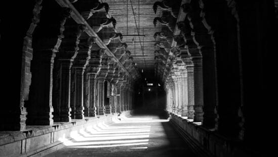 నాగ పంచమి పూజ ముహూర్తం: నాగ పంచమి రోజున 02 గంటల 40 నిమిషాలు పూజించడం ఉత్తమమైనదిగా భావిస్తారు.నాగ పంచమి పూజ శుభ సమయాలు ఉదయం 05.46 నుండి 08.26 వరకు ఉంటాయి.