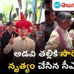cm chandrababu