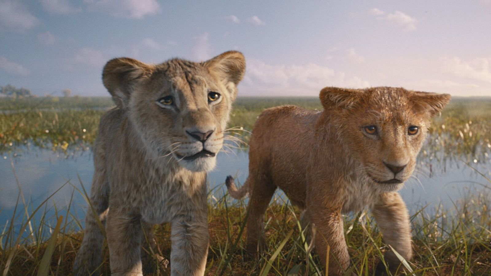 Mufasa The Lion King Trailer: సూపర్ హిట్ హాలీవుడ్ మూవీ సీక్వెల్ వచ్చేస్తోంది.. ట్రైలర్ రిలీజ్.. స్టార్ హీరో డబ్బింగ్