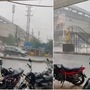 ఆదిలాబాద్, జనగామ, ఖమ్మం, మేడ్చల్-మల్కాజిరిగి, నాగర్ కర్నూల్, నల్గొండ, ఆసిఫాబాద్, నిర్మల్ , నిజామాబాద్, సిద్దిపేట, వరంగల్, యాదాద్రి-భువనగిరి జిల్లాల్లో భారీ వాన పడొచ్చని హైదరాబాద్ వాతావరణ కేంద్రం పేర్కొంది. ఇతర జిల్లాల్లో మోస్తరు వర్షం కురిసే అవకాశం ఉందని తెలిపింది. <p>ఆదిలాబాద్, జనగామ, ఖమ్మం, మేడ్చల్-మల్కాజిరిగి, నాగర్ కర్నూల్, నల్గొండ, ఆసిఫాబాద్, నిర్మల్ , నిజామాబాద్, సిద్దిపేట, వరంగల్, యాదాద్రి-భువనగిరి జిల్లాల్లో భారీ వాన పడొచ్చని హైదరాబాద్ వాతావరణ కేంద్రం పేర్కొంది. ఇతర జిల్లాల్లో మోస్తరు వర్షం కురిసే అవకాశం ఉందని తెలిపింది. </p>