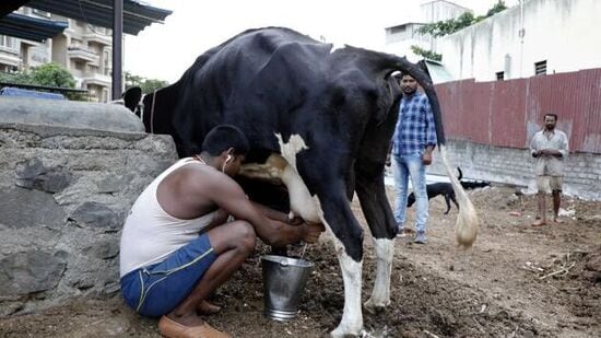 పాడి రైతులకు గోకులం పథకం