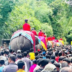 <p>కొడగులోని దుబారే, నాగరహోళే నుంచి ఏనుగులు ఇప్పటికే దసరా ఉత్సవాలు 2024లో పాల్గొనేందుకు మైసూరుకు చేరుకున్నాయి. ఇప్పటికే తొమ్మిది ఏనుగులు వచ్చాయి. రెండో దశలో మరో ఐదు ఏనుగులు రానున్నాయి.&nbsp;</p>