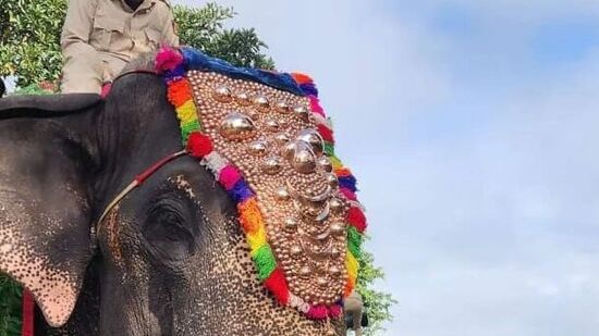 చిక్కమగళూరు జిల్లా ముదిగెరె తాలూకాలో ఏకలవ్య (38)&nbsp;అనే ఏనుగు దసరా బృందంలో చేరాడు.&nbsp;నాగరహోళేలోని మాటిగోడు శిబిరానికి చెందిన ఏకలవ్య తొలిసారిగా దసరా ఉత్సవాల్లో పాల్గొంటున్నాడు. ఏకలవ్య వయసు 39 సంవత్సరాలు. ఏనుగు బరువు 4,150 కిలోలు. బరువు, 2.83 మీటర్ల ఎత్తు, 3.70 మీటర్ల పొడవున్న ఏనుగు.