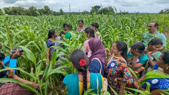 ఈ ప్రదర్శనకు వచ్చిన సందర్శకులు పొట్పల్లి ఊర్లో జీవవైవిధ్య పొలాలను సందర్శించారు. అక్కడి సంఘం మహిళా రైతులతో మాట్లాడి వివిధ రకాల ఆకు కూరలు, వాటి ఉపయోగాలు, అవి వండుకునే విధానంపై అవగాహన పెంచుకున్నారు. ఇలా చేనులోనే చూడటం రైతుల నుంచే వినటం చాలా మంచి అనుభవం” అని సందర్శకులు అన్నారు.