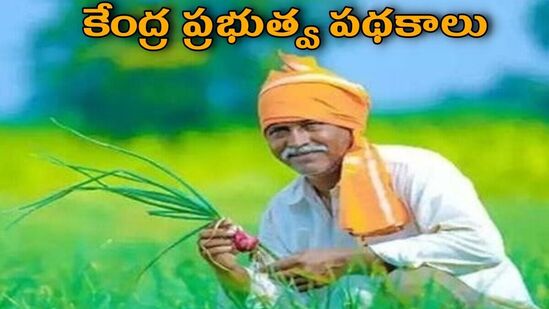 పెట్టుబడి సాయం, తక్కువ వడ్డీ రుణాలు, పెన్షన్ - రైతుల కోసం కేంద్ర ప్రభుత్వ పథకాలు