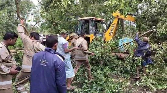 ఇటీవల ధ్వంసమైన ప్రాంతాలను సంరక్షిస్తే.. అటవీ ప్రాంతాన్ని పునరుద్ధరించవచ్చని అధికారులు భావిస్తున్నారు. నష్టం జరిగిన అటవీ ప్రాంతానికి ఆనుకునే మంచి అడవి ఉందని చెబుతున్నారు. వాటి నుంచి వచ్చే విత్తనాలు చెట్లు కూలిన ప్రాంతంలో అడవుల పునరుద్ధరణకు ఉపయోగపడతాయని అధికారులు ప్రభుత్వానికి నివేదించారు.&nbsp;