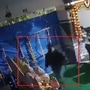గణపతి లడ్డూ చోరీ