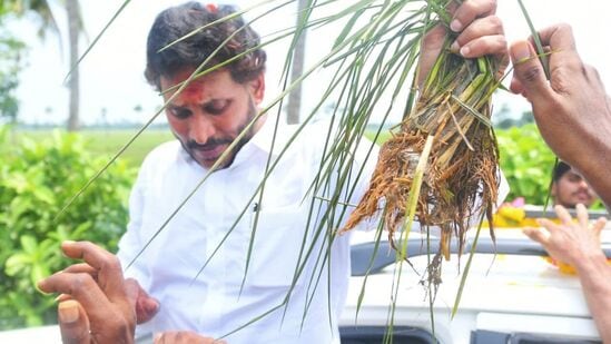 ఇసుకపల్లి,నాగులపల్లిలోని వరద ప్రభావిత ప్రాంతాలను పరిశీలించారు. రైతులు నీట మునిగిన వరి నాట్లను జగన్‌కు చూపిస్తూ తమ ఆవేదన వ్యక్తం చేశారు