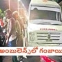 గంజాయి రవాణా చేస్తూ పట్టుబడిన అంబులెన్స్ గంజాయి రవాణా చేస్తూ పట్టుబడిన అంబులెన్స్
