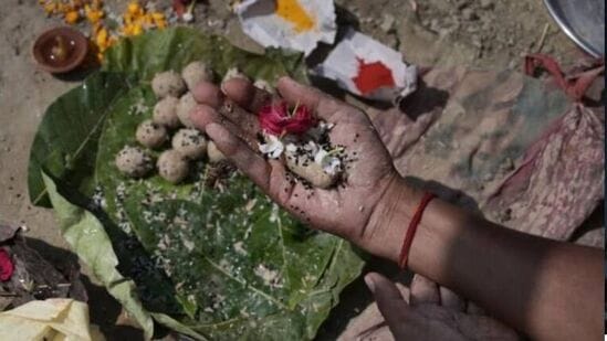 పితృ పక్షం సమయంలో బెల్లం దానం చేయడం చాలా పవిత్రమైనదిగా భావిస్తారు. మీరు ఆహారంతో బెల్లం దానం చేస్తే, అది మీ జీవితంలో, ఇంట్లో శ్రేయస్సు, సంపద, అదృష్టాన్ని ఆకర్షిస్తుంది అని నమ్ముతారు. బెల్లం తినడం వల్ల పూర్వీకులు సంతృప్తి చెందుతారని చాలా మంది నమ్ముతారు.