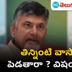 ap cm chandrababu
