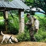 మణిపూర్​లో హై అలర్ట్​!