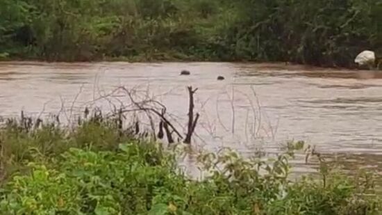 నారింజ వాగులో ఇద్దరు గల్లంతు