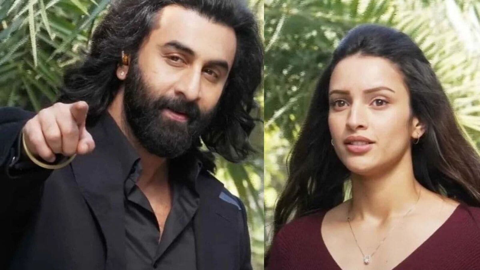 Tripti Dimri: యానిమల్ తర్వాత రెండు మూడు రోజులు ఏడ్చాను.. మనసు అల్లకల్లోలమైంది.. తృప్తి దిమ్రి షాకింగ్ కామెంట్స్