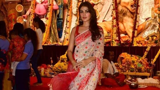 Alia Bhatt Durga Puja: అటు కోల్‌కతాలో మరో బాలీవుడ్ నటి రియా చక్రవర్తి కూడా ఓ దుర్గామాత పండల్ దగ్గర కనిపించింది.