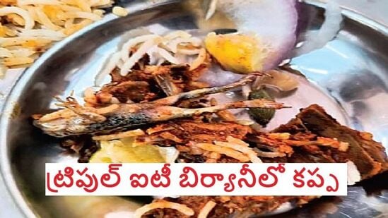 కంది ట్రిపుల్‌ఐటీ బిర్యానీలో దర్శనమిచ్చిన కప్ప కళేబరం