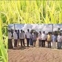 సన్న బియ్యం మిల్లింగ్‌‌పై మిల్లర్ల అభ్యంతరం, సమస్యల పరిష్కారానికి డిమాండ్