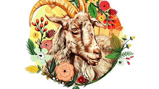 మకర రాశి : రేపు &nbsp;ఈ రాశి వారికి శుభదినం. కొత్త ప్రాజెక్టును ప్రారంభించవచ్చు. మీ ఆర్థిక పరిస్థితి మెరుగుపడుతుంది కానీ కుటుంబ సభ్యులతో వాదనలు జరిగే అవకాశం ఉంది. ప్రశాంతమైన మనస్సుతో నిర్ణయం తీసుకోండి. స్వీయ నియంత్రణతో ఉండండి. కోపానికి దూరంగా ఉండండి. ఆరోగ్యం బాగుంటుంది కానీ అనారోగ్యకరమైన ఆహారాలకు దూరంగా ఉండాలి. ఇంట్లో తయారుచేసిన ఆహారాన్ని తినండి. ఆరోగ్యకరమైన జీవనశైలిని నిర్వహించండి. మీ భావాలను ప్రియమైన వారితో బహిరంగంగా పంచుకోండి. దీంతో రిలేషన్ షిప్ లో ప్రేమ, రొమాన్స్ పెరుగుతాయి.