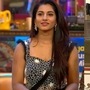 విష్ణుప్రియ వల్ల పెరిగిన బిగ్ బాస్ ప్రైజ్ మనీ.. విజేతకు ఎంత డబ్బు వస్తుందంటే?
విష్ణుప్రియ వల్ల పెరిగిన బిగ్ బాస్ ప్రైజ్ మనీ.. విజేతకు ఎంత డబ్బు వస్తుందంటే?