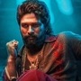 Allu Arjun: డేవిడ్ వార్నర్కు విషెస్ చెప్పిన అల్లు అర్జున్.. రియాక్ట్ అయిన స్టార్ క్రికెటర్ Allu Arjun: డేవిడ్ వార్నర్కు విషెస్ చెప్పిన అల్లు అర్జున్.. రియాక్ట్ అయిన స్టార్ క్రికెటర్