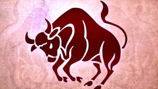 వృషభ రాశి : 2025 లో శని మీ రాశిలో 11 వ ఇంట్లోకి ప్రవేశిస్తాడు. తద్వారా మీ చిరకాల కోరికలు నెరవేరుతాయి.పెండింగ్ పనులు విజయవంతంగా పూర్తవుతాయి. మీ పై అధికారులతో మీకు మంచి సంబంధాలు ఉంటాయి. మీరు అన్ని రంగాల్లో విజయం సాధిస్తారు. కష్టపడి పనిచేయడం మంచి ఫలితాలను ఇస్తుంది.