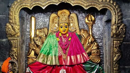 భద్రకాళి అమ్మవారి ఆలయాన్ని అన్ని విధాలుగా అభివృద్ధి చేస్తామని మంత్రి పొంగులేటి శ్రీనివాస్ రెడ్డి వివరించారు. ఆలయ మాడ వీధులను త్వరితగతిన పూర్తి చేస్తామన్నారు. ఇక్కడి జలాశయాన్ని తాగునీటి జలాశయంగా మారుస్తామని చెప్పారు.&nbsp;