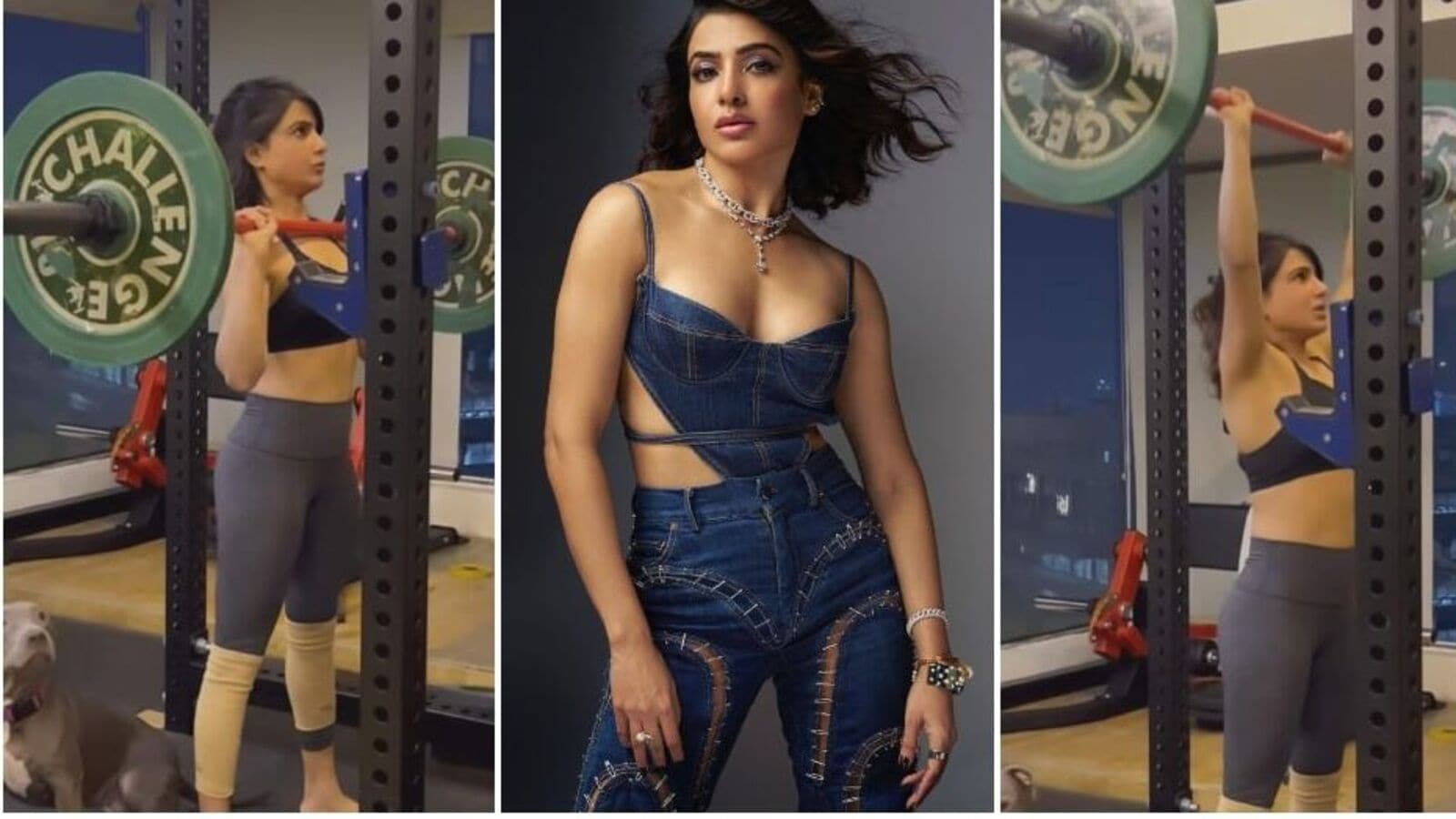 Citadel: Honey Bunny OTT: సమంతకి కోపం తెప్పించిన నెటిజన్ రిక్వెస్ట్.. జడ్జ్ చేయడం ఆపి బతకనివ్వండంటూ హీరోయిన్ చురకలు