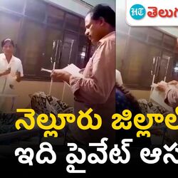 nellore government hospital