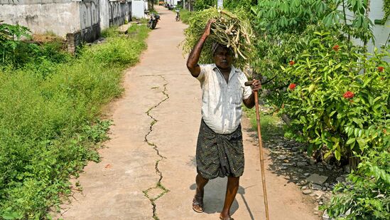 పశ్చిమగోదావరి జిల్లాలోని మారుమూల గ్రామమైన &nbsp;వడ్లూరు నుంచి అమెరికాకు వలస వెళ్లిన కుటుంబానికి చెందిన వ్యక్తిఆ దేశ ఉపాధ్యక్షుడిగా ఎన్నికవుతుండటంతో గ్రామంలో &nbsp;ఉత్సాహం నెలకొంది