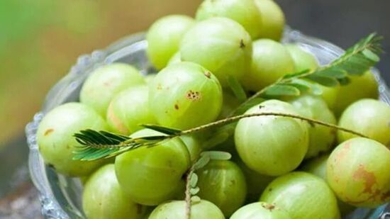 ఉసిరి ఫంగస్ నిరోధకంగా, రక్త నాళాల్లో కలిగే ప్లేక్ నిరోధకంగా, క్యాన్సర్ నిరోధకంగా, జీవకణాల్లో డిఎన్ఏ కు రక్షణ కల్పించడం ద్వారా రోగనిరోధకంగా పనిచేస్తుంది.&nbsp;