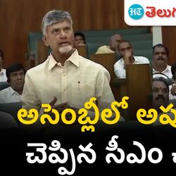 ap cm chandrababu