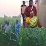 భల్లుకం దాడిలో గాయపడిన మహిళ, పొలాల్లో గాలిస్తున్న రైతులు