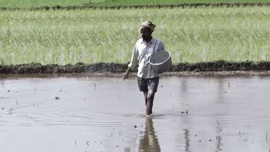 రైతులకు మరో శుభవార్త