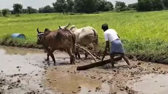 రైతులకు శుభవార్త