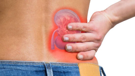 Kidney Stones: కిడ్నీలో రాళ్లు.. ఇలాంటి పుడ్స్ ఎక్కువగా తింటే మరింత డేంజర్!