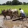 రైతులకు శుభవార్త