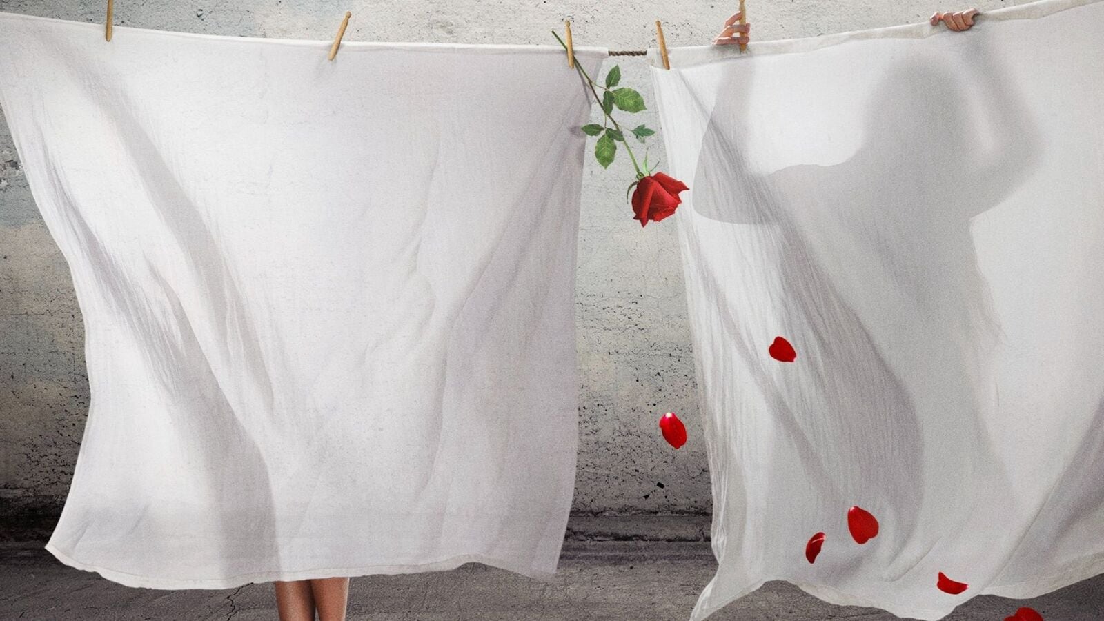 OTT Release: ఓటీటీలోకి ఇవాళ ఒక్కరోజే 35 సినిమాలు- 9 చాలా స్పెషల్, 4 తెలుగులో- హారర్, బోల్డ్, సైన్స్ ఫిక్షన్ థ్రిల్లర్స్!