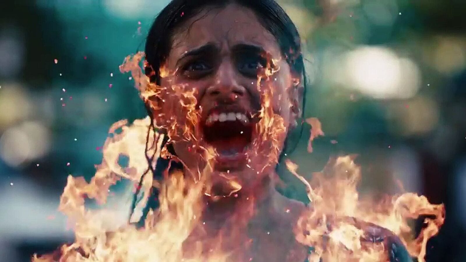 Telugu Cinema News Live November 24, 2024: OTT Trending: ఓటీటీలో అదరగొడుతోన్న 29 కోట్ల కన్నడ యాక్షన్ థ్రిల్లర్.. తెలుగులోనూ స్ట్రీమింగ్.. ఇక్కడ చూసేయండి!