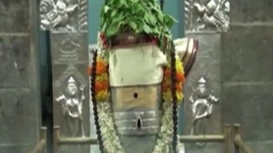 ద్రాక్షారామంలో నిత్యోత్సవాల్ని నిర్వహించేందుకు వీలుగా వందల సంఖ్యలో రాజులు, జమీందారులు భూ, కనక, వస్తు, వాహన, ద్రవ్య, రూపాల్లో పెద్ద ఎత్తున విరాళాలిచ్చారు. ఉత్సవాలకు విచ్చేసే యాత్రికుల వసతుల కోసం సత్రాల్ని నిర్మించారు. ఏటా మాఘమాసంలో 8 నుంచి 10 రోజుల పాటు ఇక్కడ కల్యాణోత్సవాలు జరుగుతాయి. అంకురార్పణ, ధ్వజారోహణ, అభిషేకాదుల్ని నిర్వహిస్తారు. ఏటా మార్గశిర పౌర్ణమి రోజున, ఆరుద్ర నక్షత్రం ప్రవేశించే సందర్భంలో ఆర్ద్రోత్సవాన్ని నిర్వహిస్తారు. ఈ సందర్భంలో క్రతువులు నిర్వహించి హవిస్సును అర్పిస్తారు. చైత్ర పౌర్ణమి నాడు మాణిక్యాంబ, భీమేశ్వరుల్ని ప్రత్యేకంగా దవనంతో అర్చిస్తూ ఉయ్యాల్లో ఊపుతూ డోలోత్సవాన్ని జరుపుతారు.