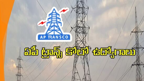 ఏపీ ట్రాన్స్ కోలో కార్పొరేట్ లాయర్ల పోస్టులు, రూ.1,20,000 జీతం-దరఖాస్తు విధానం ఇలా