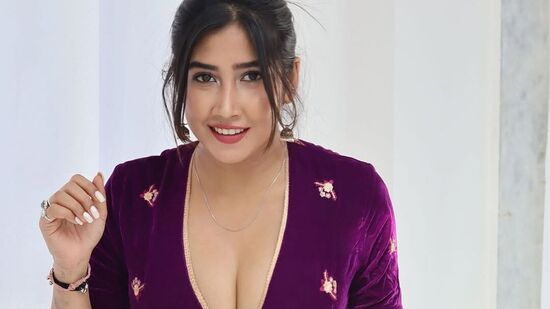 ప్రస్తుతం ఇండియాలో గూగుల్ సెర్చ్‌లో మోస్ట్ ట్రెండింగ్ టాపిక్స్‌లో సోఫియా అన్సారీ ఒకరు. ఇన్ స్టాగ్రామ్‌లో విపరీతమైన ఫ్యాన్ ఫాలోయింగ్ ఉన్న సోఫియా అన్సారీ గురించి తెలియని వారుండరు. ఫేమ్ హౌస్ (2020), రవ్‌నీత్ సింగ్: బిల్లోస్ టౌన్ (2021), వాహల్ నో దరియో (2020) వంటి పలు వెబ్ సిరీస్‌లకు ఆమె పనిచేశారు.